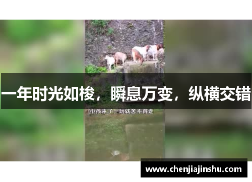 一年时光如梭，瞬息万变，纵横交错